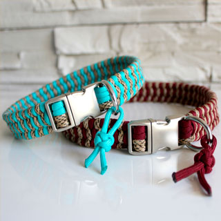 Colliers Chien