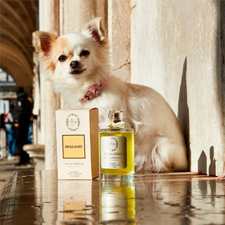 Parfum Chien