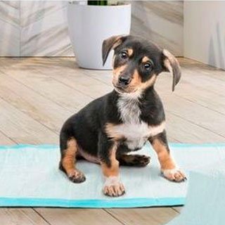 Tapis absorbants