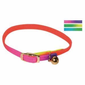 Collier pour chat - Arc-en-ciel chat
