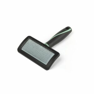 brosse carde pour toilettage