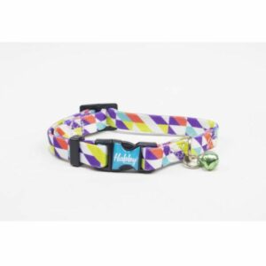 collier coloré pour chat.