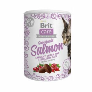 brit recompense chat saumon 100 gr