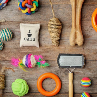 Accessoires chat
