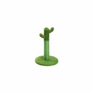 Griffoir Cactus tunisie