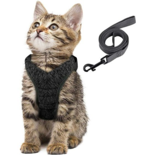 Colliers et harnais Chat
