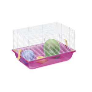 cage rongeurs
