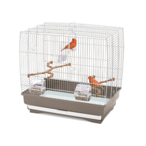 cage oiseau
