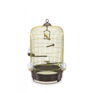 cage oiseaux