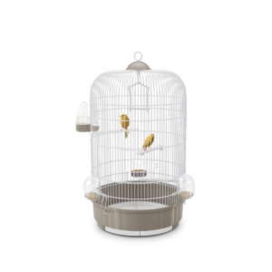 cage oiseaux