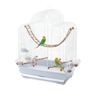 cage oiseaux