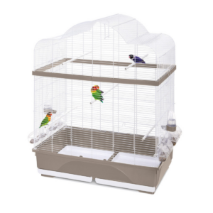 cage oiseaux