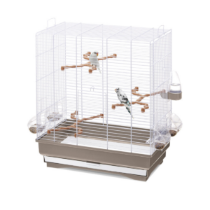 cage pour oiseaux